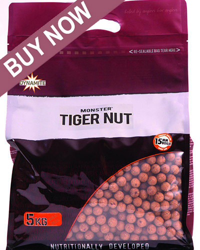 Monster Tiger Nut